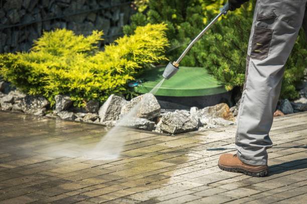 Best Brick and Stone Cleaning in Hidalgo, TX