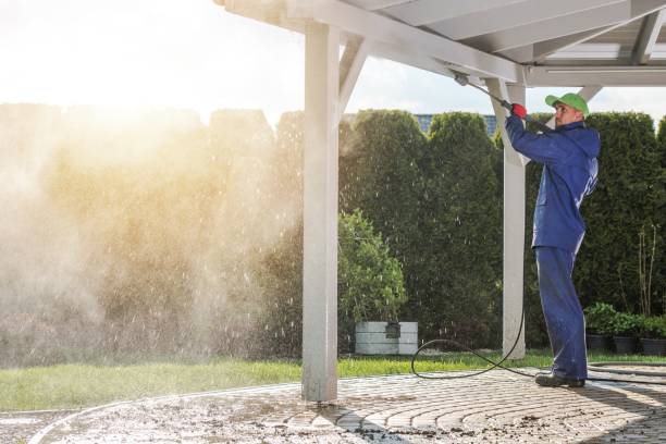 Hidalgo, TX Pressure Washing Pros