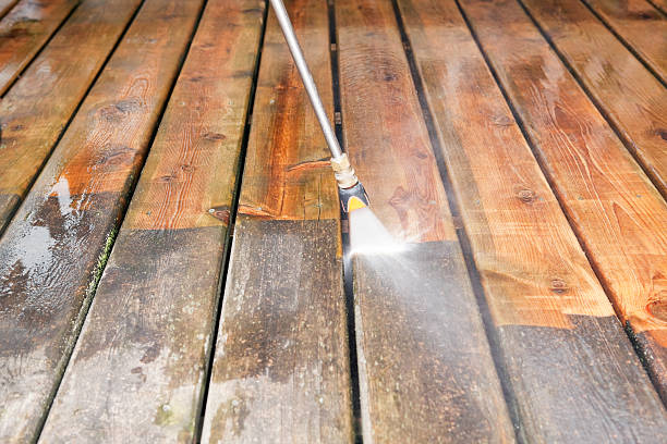 Best Roof Cleaning and Mildew Removal in Hidalgo, TX